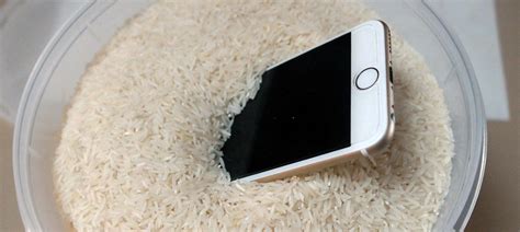 How long should my iPhone stay in rice?