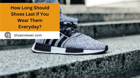 How long should sneakers last if you wear them everyday?