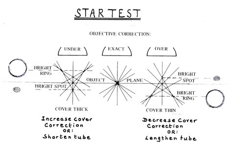 How long should the star test take?