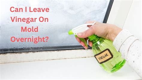 How long should vinegar sit to kill mold?