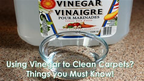 How long should vinegar sit to remove stains?