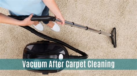 How long should you wait to vacuum after shampooing carpet?