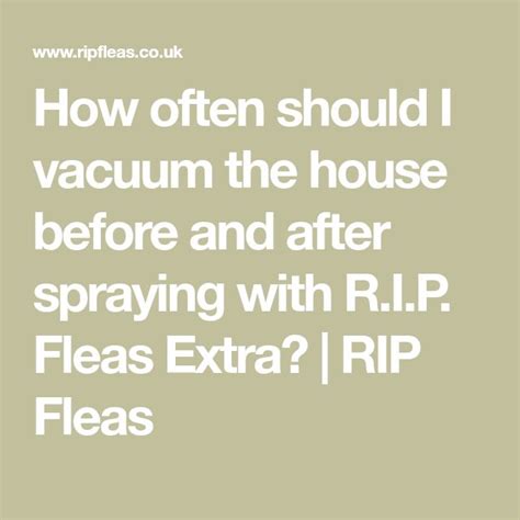 How long should you wait to vacuum after spraying for fleas?