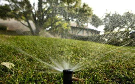 How long should you water your lawn in Texas?