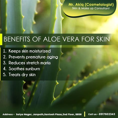 How long to leave aloe vera on skin?