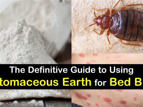 How long to leave diatomaceous earth on carpet for bed bugs?