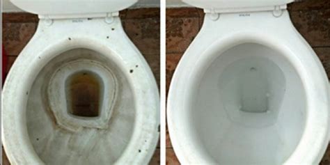 How long to leave vinegar in toilet tank overnight?