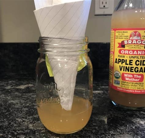 How long to leave vinegar on glass?