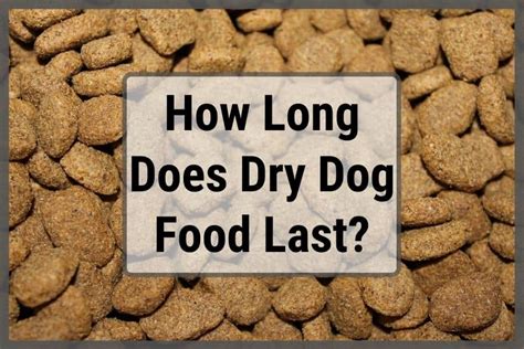 How long until dry dog food goes bad?