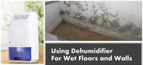 How long will a dehumidifier dry a wet floor?