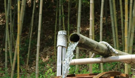 How long will bamboo last in water?