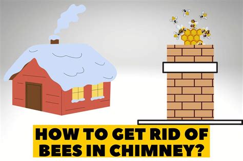 How long will bees stay in chimney?