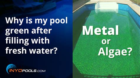 How long will fresh water last in a pool?