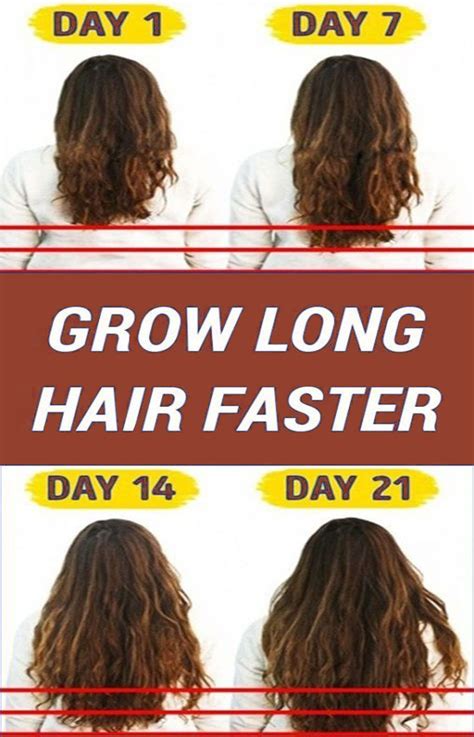 How long will hair grow if never cut?