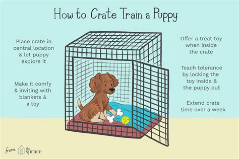 How long will puppy cry in crate during day?