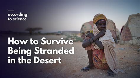 How long would you survive in the Sahara desert?