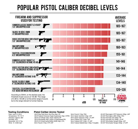 How loud is a 22 pistol?