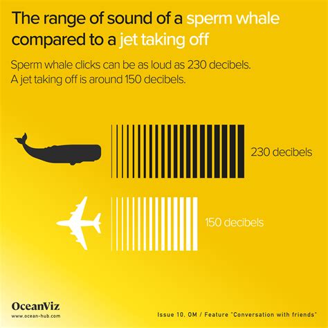 How loud is a sperm whale?