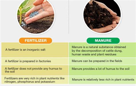 How manure is better than fertilizers?
