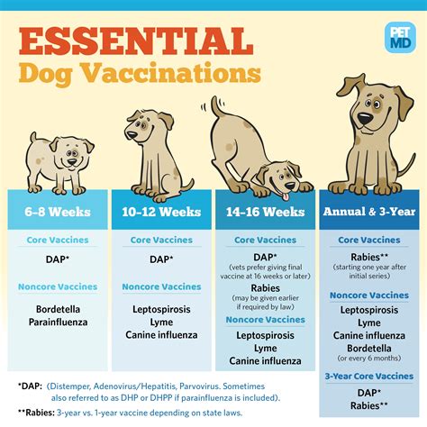 How many 5 in 1 vaccine for dogs?