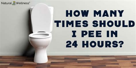 How many Litres should you pee in 24 hours?