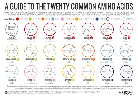 How many amino acids can we not produce naturally?