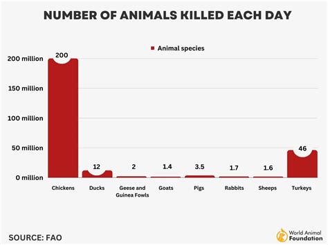How many animals are killed each year?