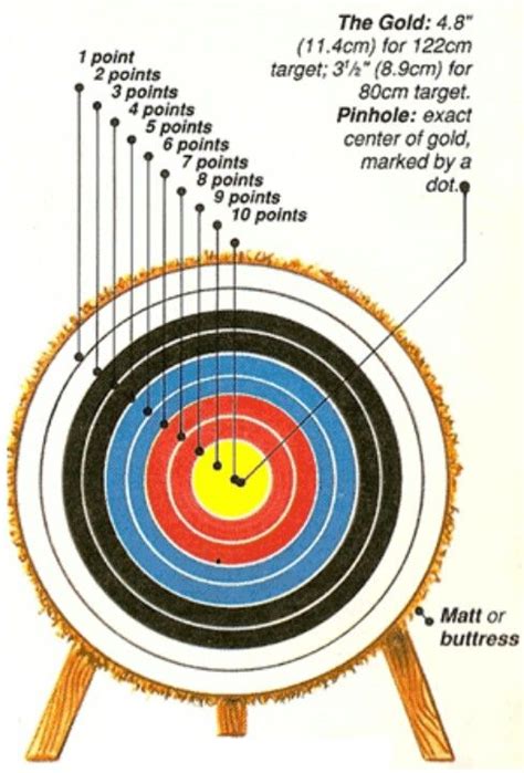 How many arrows are shot in each round?