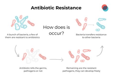 How many bacteria are resistant to antibiotics?