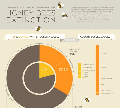 How many bees are dying in the world?