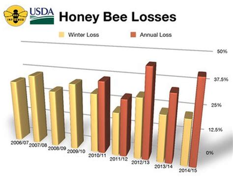 How many bees die a year?