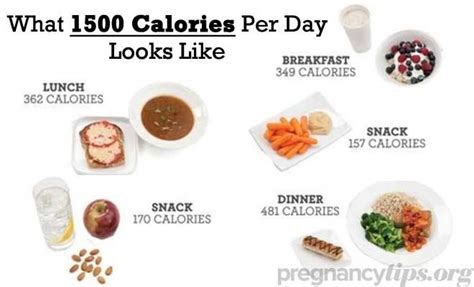 How many calories do Kardashians eat?