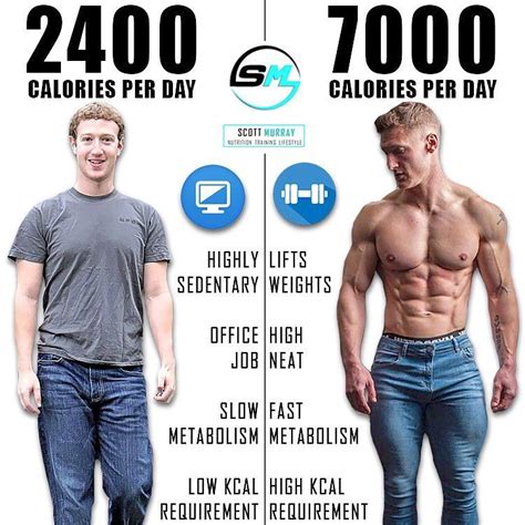 How many calories do bodybuilders eat?