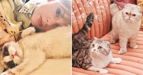 How many cats do Taylor Swift have?