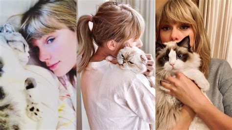 How many cats does Taylor Swift have?
