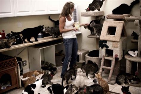 How many cats does it take to be a crazy cat lady?