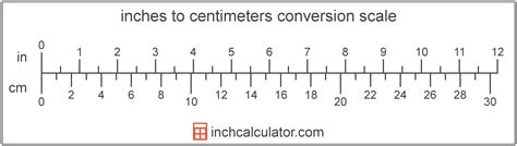 How many centimeters is a 12 inch scale?