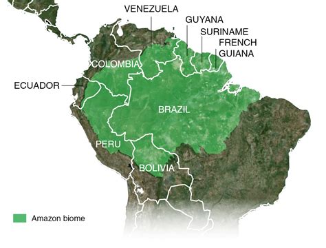 How many countries touch the Amazon?