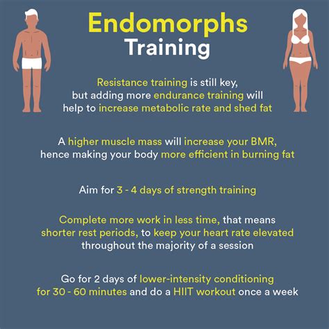 How many days a week should an endomorph workout?