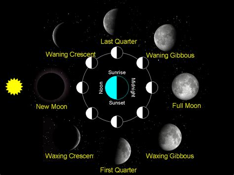 How many days is 2 moon phases?