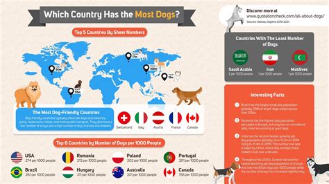 How many dogs live in Toronto?