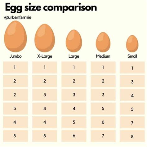 How many eggs do I have left at age 48?