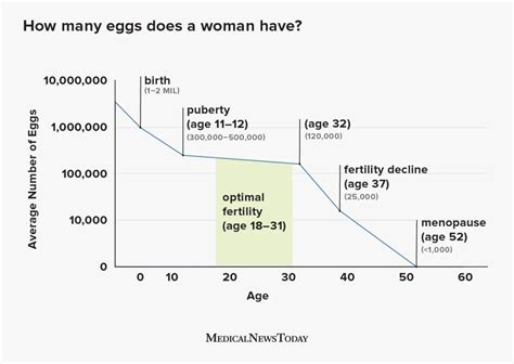 How many eggs does a woman have?