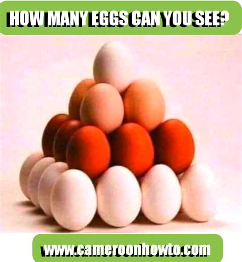 How many eggs is too many?