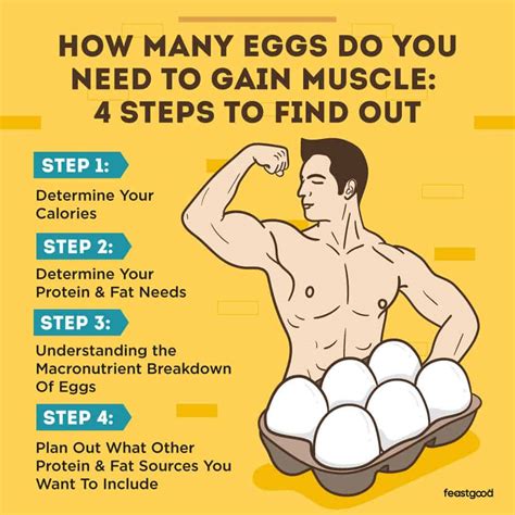 How many eggs should a bodybuilder eat a day?