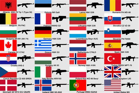 How many flags with guns?