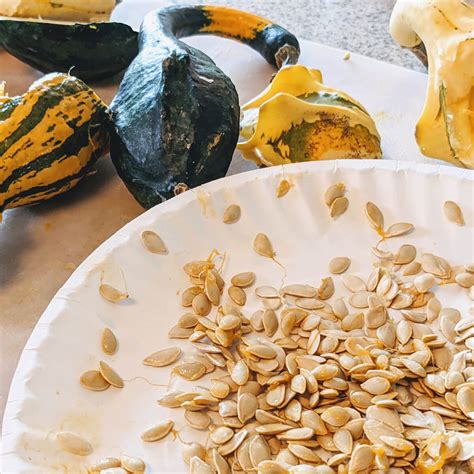 How many gourds does one seed produce?