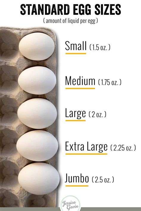 How many grams is 1 quail egg?