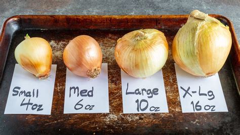 How many grams is a small onion?