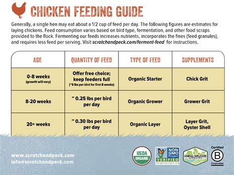 How many grams should I feed my chicken?